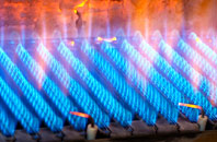 Bisham gas fired boilers
